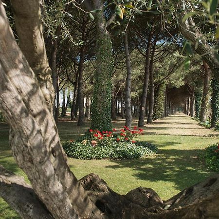 Hotel El Moli Sant Pere Pescador Εξωτερικό φωτογραφία