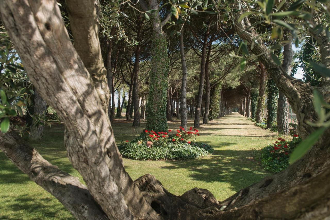 Hotel El Moli Sant Pere Pescador Εξωτερικό φωτογραφία