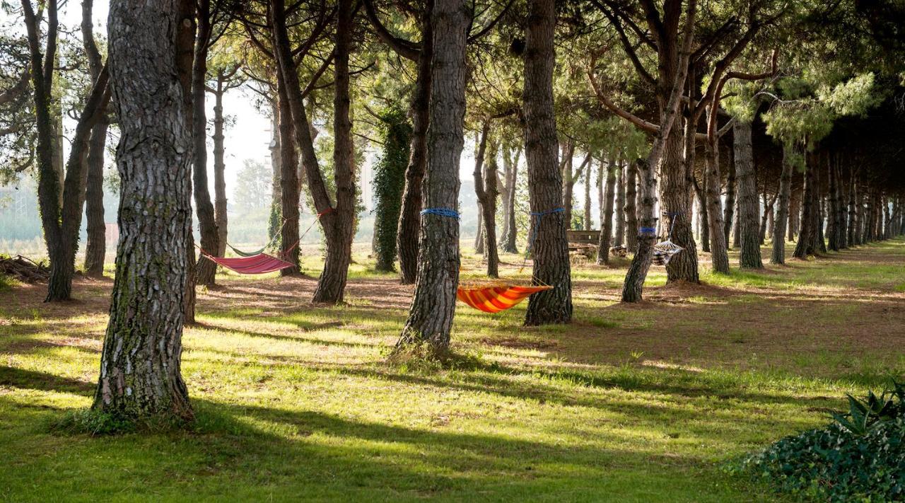 Hotel El Moli Sant Pere Pescador Εξωτερικό φωτογραφία